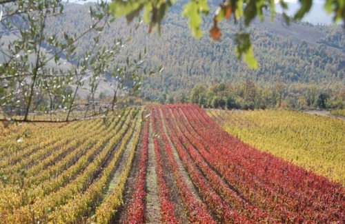 Manciano House | In the heart of the Tuscan Maremma - Bio Agriturismo Poggio Foco - "La Casetta"