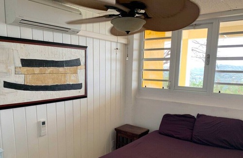 Estate Concordia East Apartment | Incredible Buck Island view on North shore, near best beaches, Cold AC!