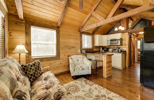 Indian Point Cabin | Indian Point Cabin 19 near SDC, Table Rock Lake & Branson