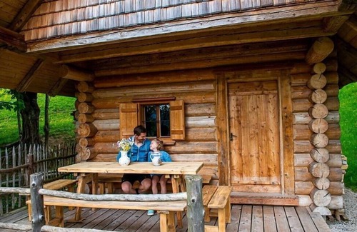 Altmuenster House | Infanglalm "Attersee"