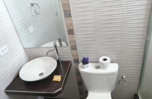 Pisco Hotel | Inkayacu Vip