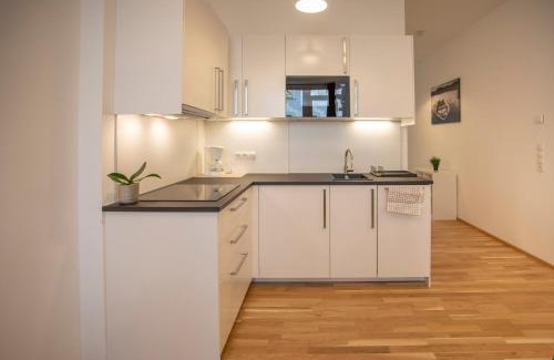 Pradl Apartment | Innsbruck Urban Apartment I No Stairs I 24h Contactless Check-in