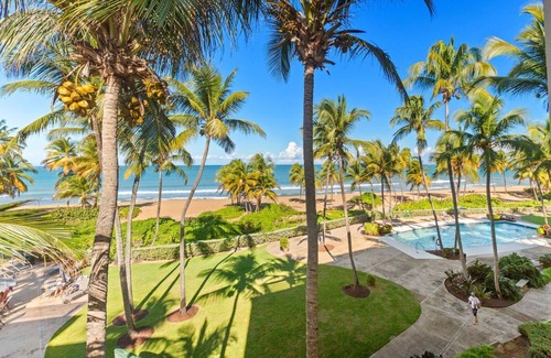 Mameyes II Condo | Inside The Wyndham Resort Casino & Spa/Across From Rain Forest/New & Updated
