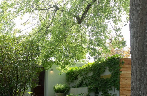 Stellenbosch House | Inviting Home in Spectacular Stellenboch