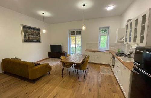 Maribor Apartment | Ipavčeva vila