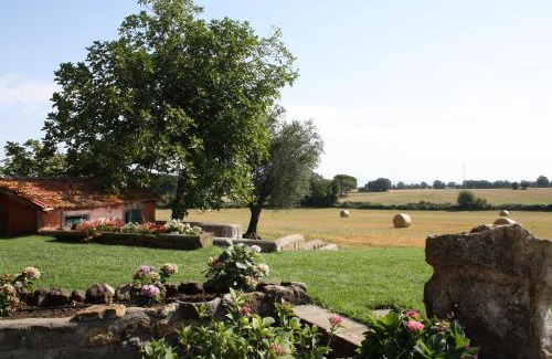 Viterbo Bed & Breakfast | Ippocastano B&B