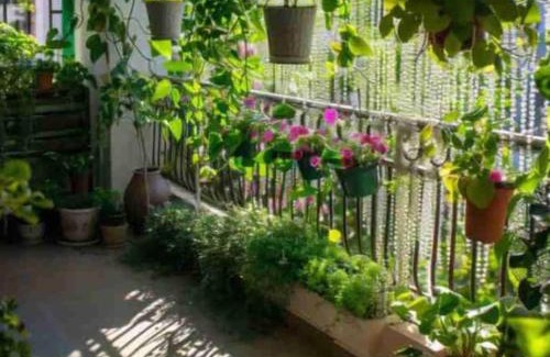 Khattalwada Resort | Iraitrails Resort