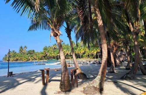 Carti Tupile Other | Isla San Blas Pugsudub