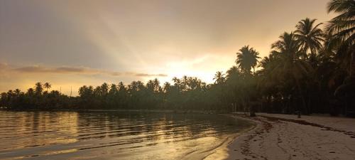 Carti Tupile Other | Isla San Blas Pugsudub