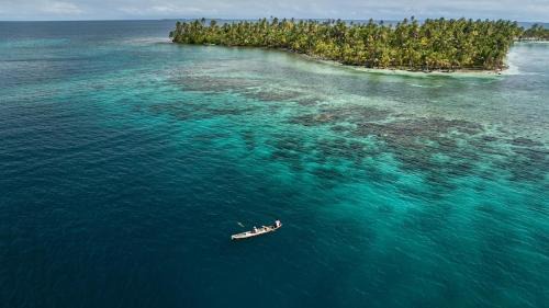 Carti Tupile Other | Isla San Blas Pugsudub