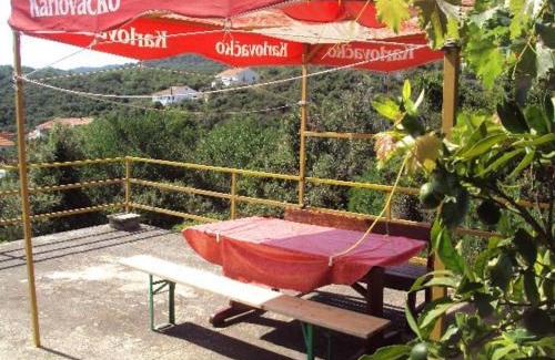 Zaglav Apartment | ISLAND OASIS - apartment with large bedroom & terrace with amazing sea view