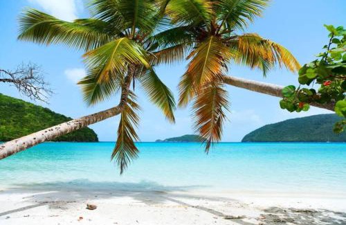 Estate Enighed Apartment | Island Oasis: Beach & Views