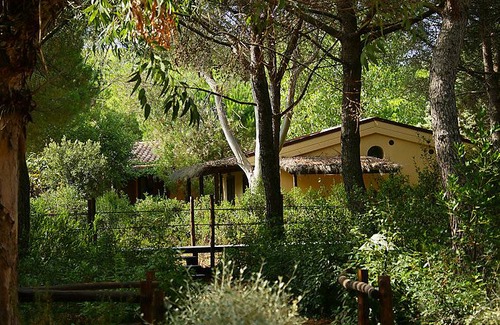 Le Rocchette Resort | 21 m² Resort ∙ 1 bedroom ∙ 2 guests