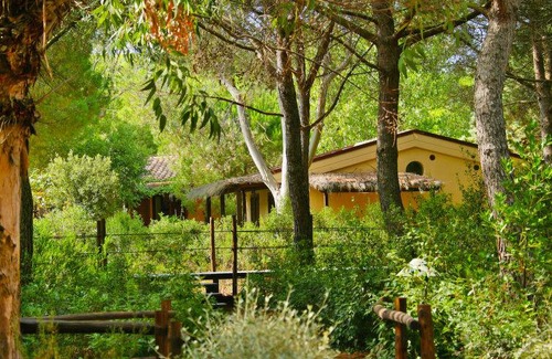 Le Rocchette Resort | 42 m² Resort ∙ 2 bedrooms ∙ 4 guests