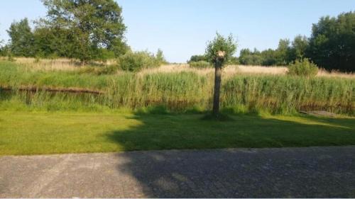 Earnewald Other | It wiide sicht