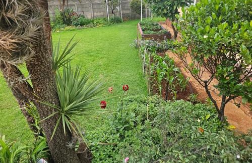 Greater Johannesburg Metropolitan Area House | J&M GuestHouse