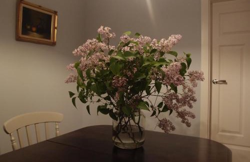 gmina Michałowo House | Jałówka - odpocznij na Podlasiu