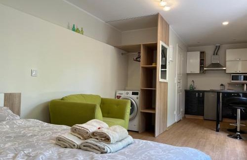 Tartu Apartment | Jaama Villa Studio Flat Surrounded by Garden