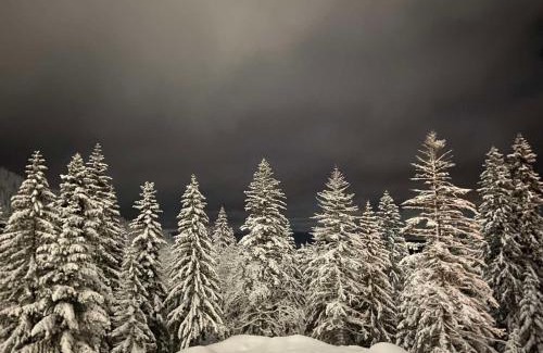 Jahorina Apartment | Jahorina 7Lux