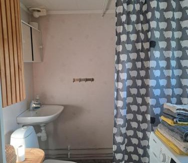 Viksjo House | Jakt- och fiskestugan i Nordanå Viksjö