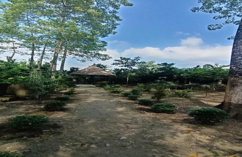 Alipurduar House | Jaldapara Riverhine by StayApart