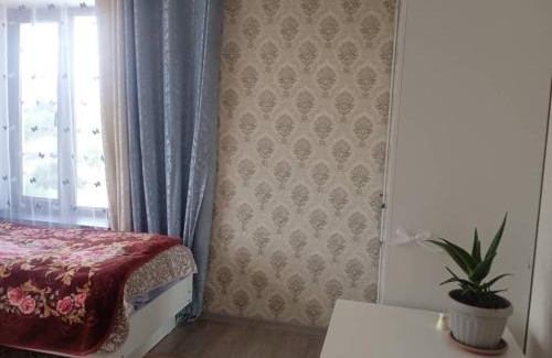 Issyk-Kul Region House | Janar guest house