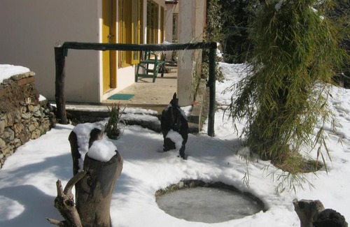 Pangot Cabin | Janardan Resort Pangot Nainital