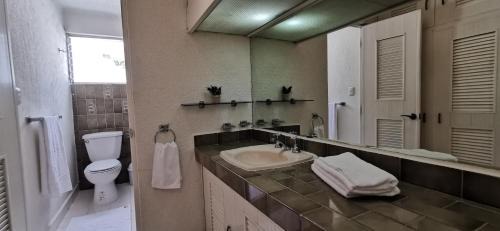 Merida House | Jardín Mérida