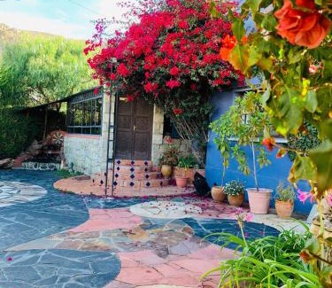 La Paz Cabin | Jardines de Gaia