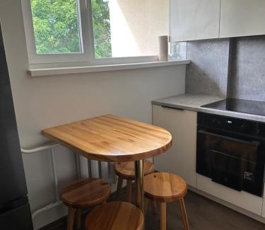 Jelgava Apartment | Jelgava Center Apartment with a View and Balcony