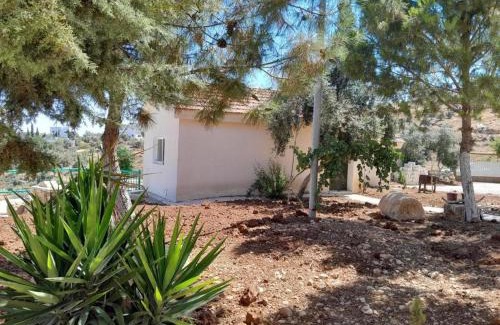 Jerash Ski Chalet | Jerash Roman Gate studio chalet ستوديو شاليه بوابة جرش الرومانيه الشماليه