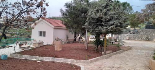 Jerash Ski Chalet | Jerash Roman Gate studio chalet ستوديو شاليه بوابة جرش الرومانيه الشماليه