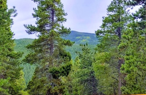 Coal Creek Cabin | Jetted Tub, Huge Deck, Fish tank and Romantic space for 2
