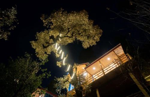 Banjar House | Jibhi test