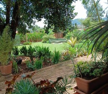 Kampala Apartment | Jjaja's Avocado Grove - Fenne