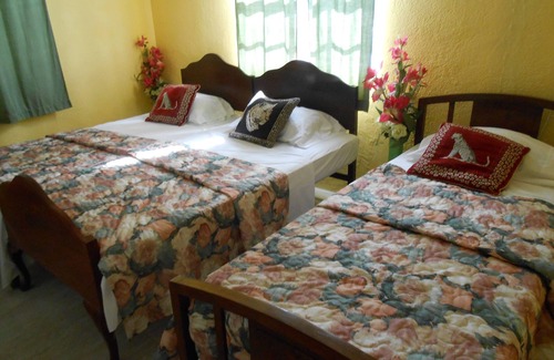 Gall Hill House | JO J'S HOSTEL WOMEN DORM SLEEP 3