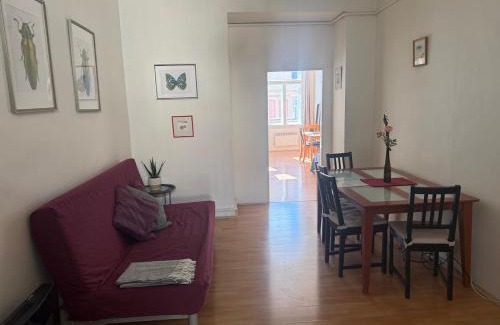 Prague 2 Apartment | Johan apartments in old Vinohrady