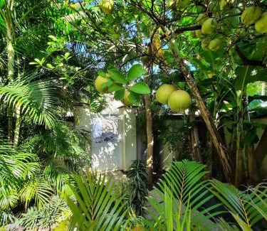 Sainte-Suzanne House | Jolie maisonnette, piscine, jacuzzi