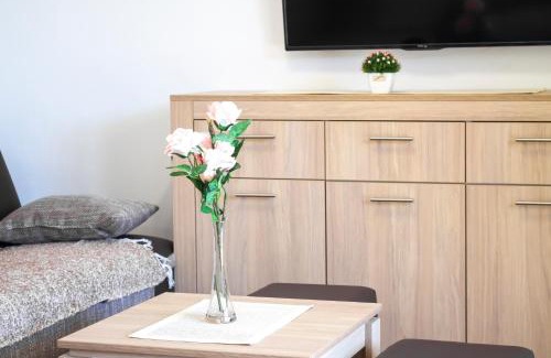 Central Serbia Apartment | JTP Apartmani Ivanjica