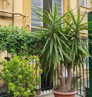 Vatican Apartment | Jubilee 3 Luxury apartment in Rome Vatican
