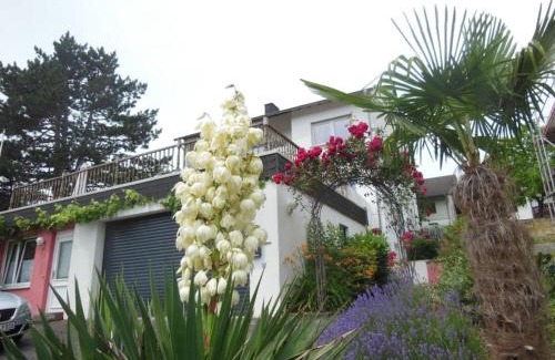 Traben-Trarbach Apartment | Julia's Mosel Villa Appartement NICOLAS