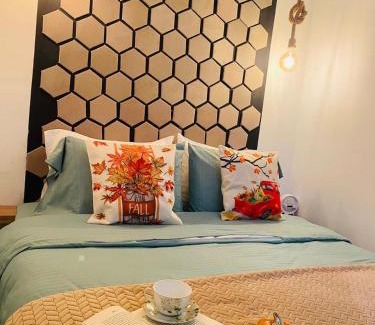 Korce Apartment | Juliette apt with private garden