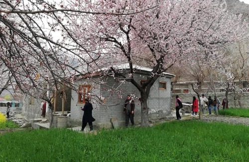 Gilgit-Baltistan Hotel | Junction Resort