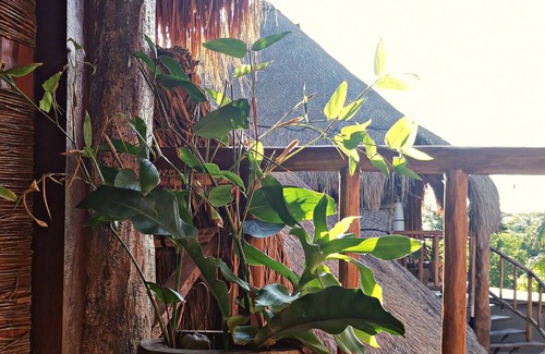 Coba Hotel | Jungla y Estrellas K AAX EK
