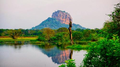 Sigiriya Cabin | Jungle Edge Home Sigiriya
