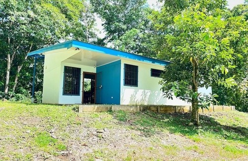 Heredia House | Jungle getaway, visit our fascinating home in the rain forest and by the river!