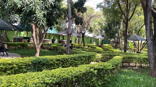 Meru Hotel | Jungle Green Resort, Kiutine