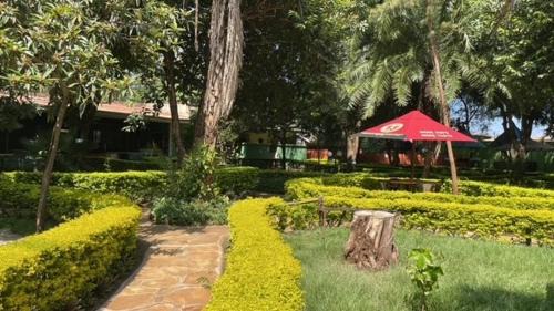 Meru Hotel | Jungle Green Resort, Kiutine