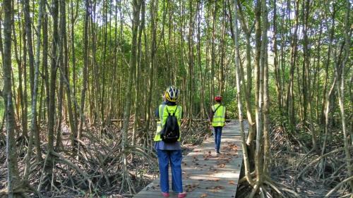 George Town House | Junior Suite Nature of Penang Guesthouse