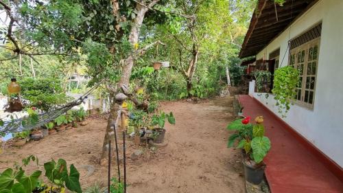 Mulatiyana House | Juno Homestay